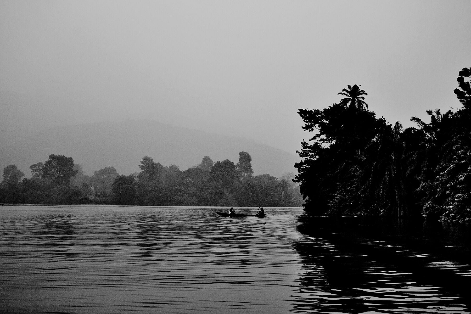 Early Morning