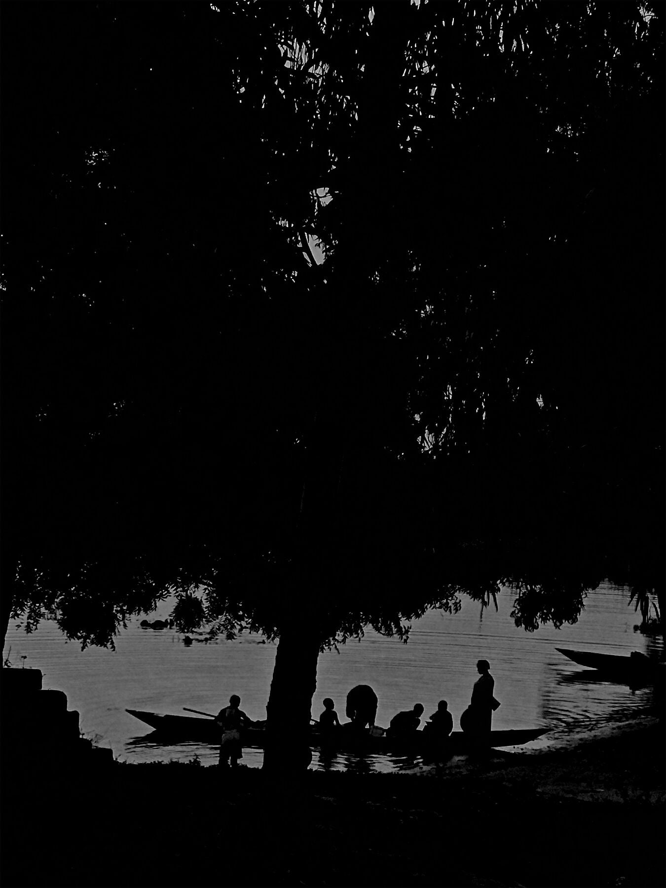 Under the tree